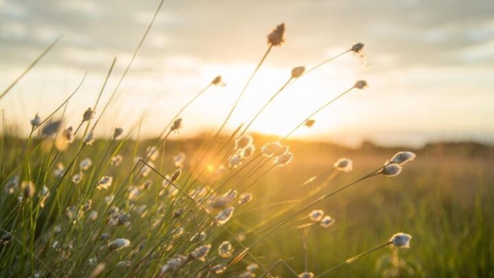 bambini-rispetto-ambiente